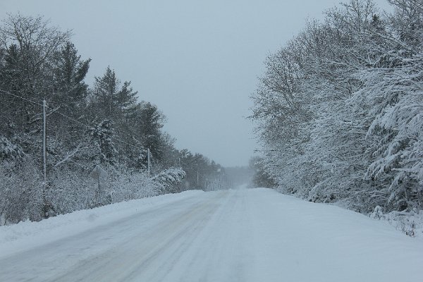 New Camera Dec2010 189